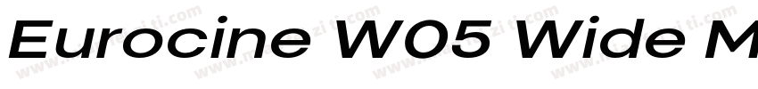 Eurocine W05 Wide Medium字体转换